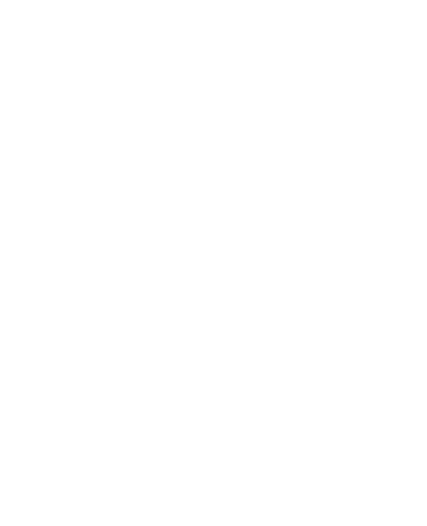 conversion report