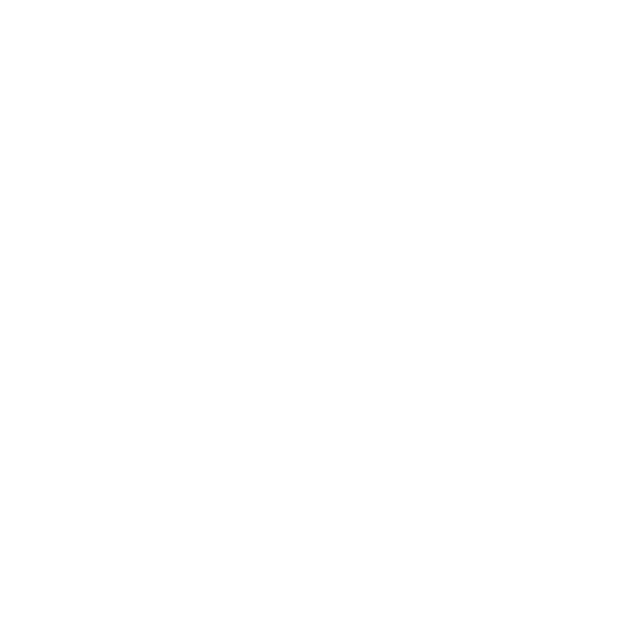 Program & Project Governance Icon Consulting